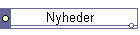 Nyheder